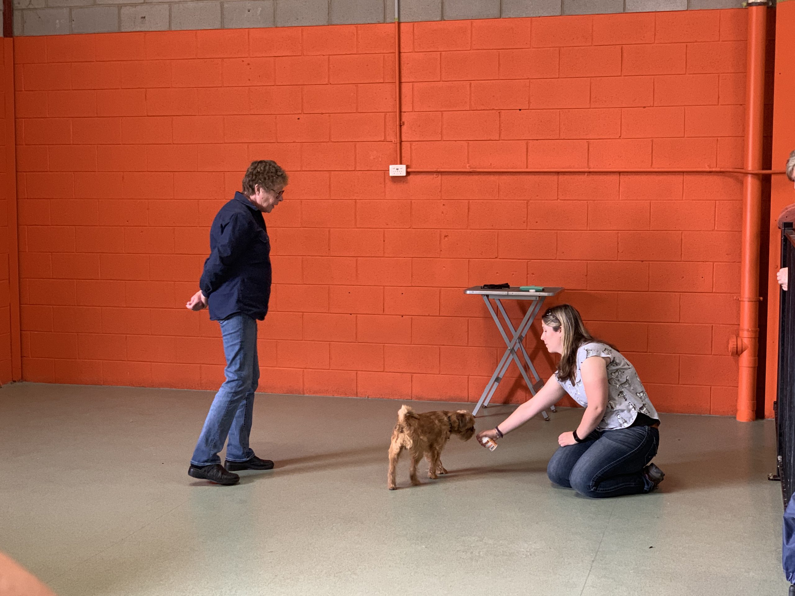 Female trainer in a grey top kneeling on floor with small brown dog, giving it a treat. Woman in dark blue long sleeve shirt and jeans watches, standing nearby.